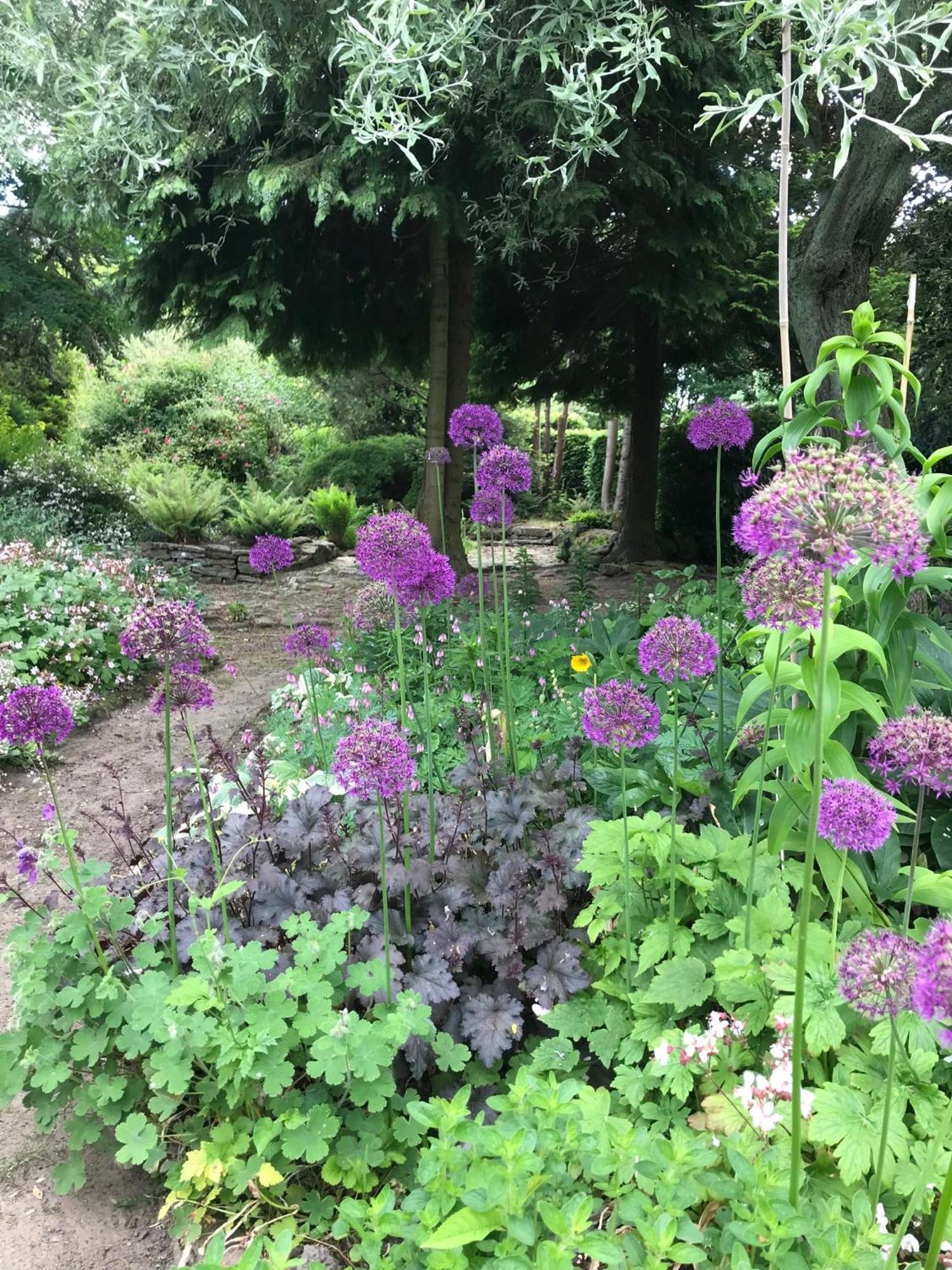 Phlomis Villa York Ngoại thất bức ảnh